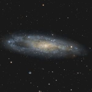 Full Portfolio Gallery